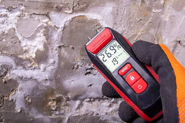 Best Best Mold Removal Companies  in Clksville, AR