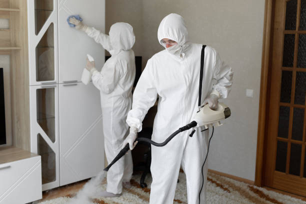 Attic Mold Removal in Clarksville, AR