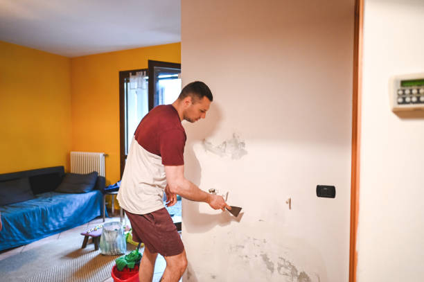 Best Same-Day Mold Removal  in Clksville, AR